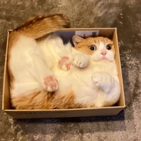 Masanao Iida's profile picture