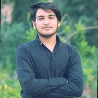 Sahil Ali's profile picture