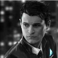 rk800y's picture