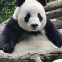 AnnyNguyen's picture