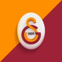 Galatasaray Taraftarları Organizasyonu's profile picture