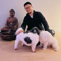 John Xie's profile picture