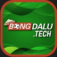 bongdalutech's picture