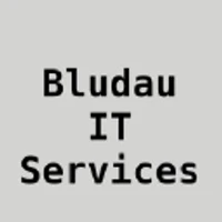 BLUDAU IT SERVICES's profile picture