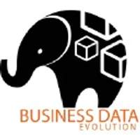 Business Data Evolution 's profile picture