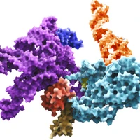 Stochastic Ribosome's profile picture