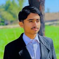 Muhammad Usman's picture