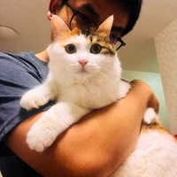 Yuchi Wang's profile picture